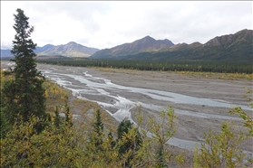 Denali NP